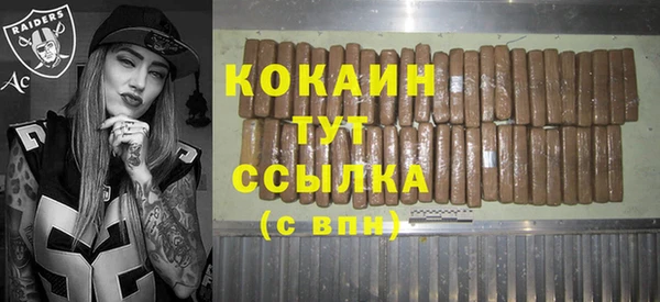 МДПВ Вяземский