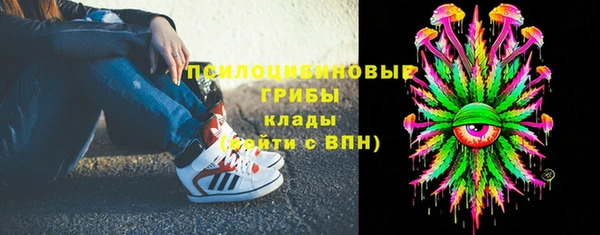прущая мука Верея